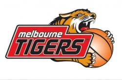 开云官网-澳洲职业篮球联赛新赛季即将开启