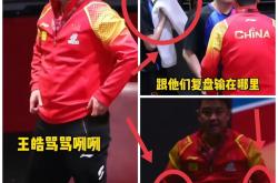 开云体育官网-中国乒乓球队险胜瑞典乒乓球队，水谷隼制霸全场的简单介绍