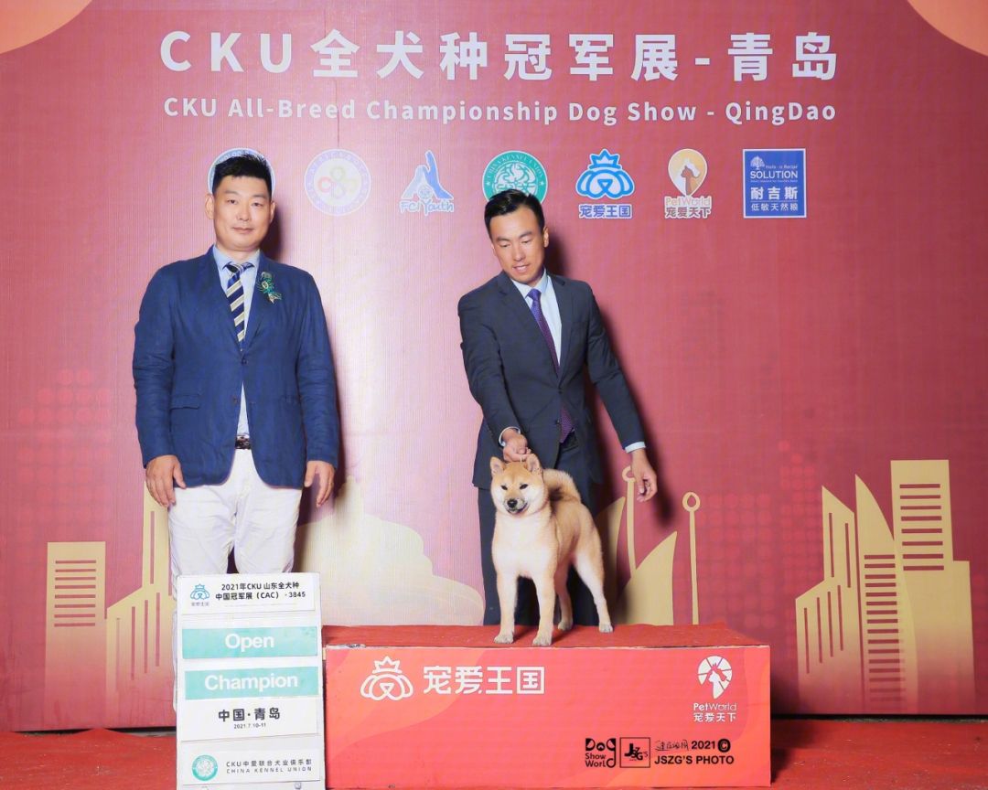 拳击决赛惊险胜出，夺走冠军头衔