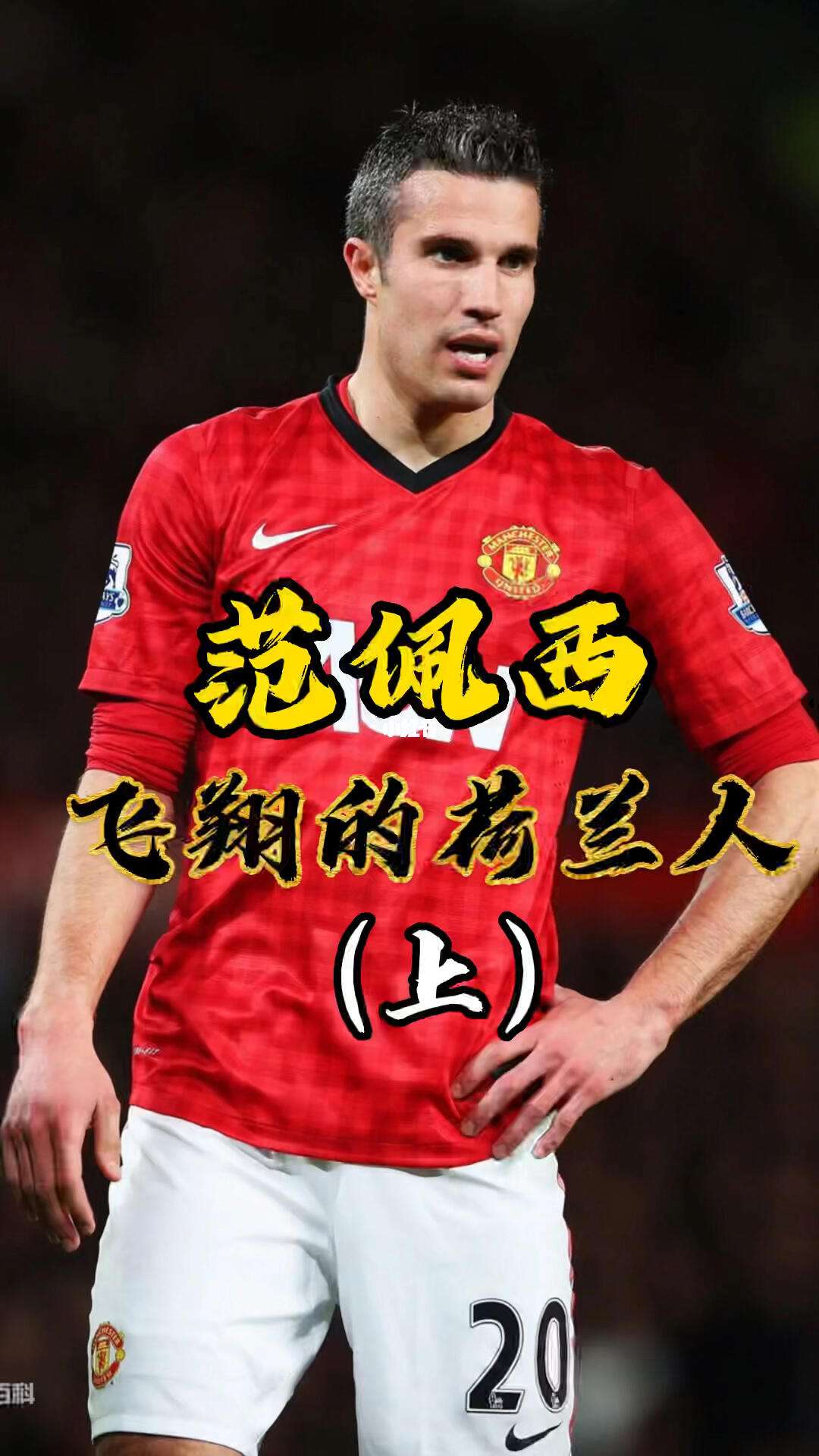 关于美国强势摩洛哥，范佩西高光表现的信息