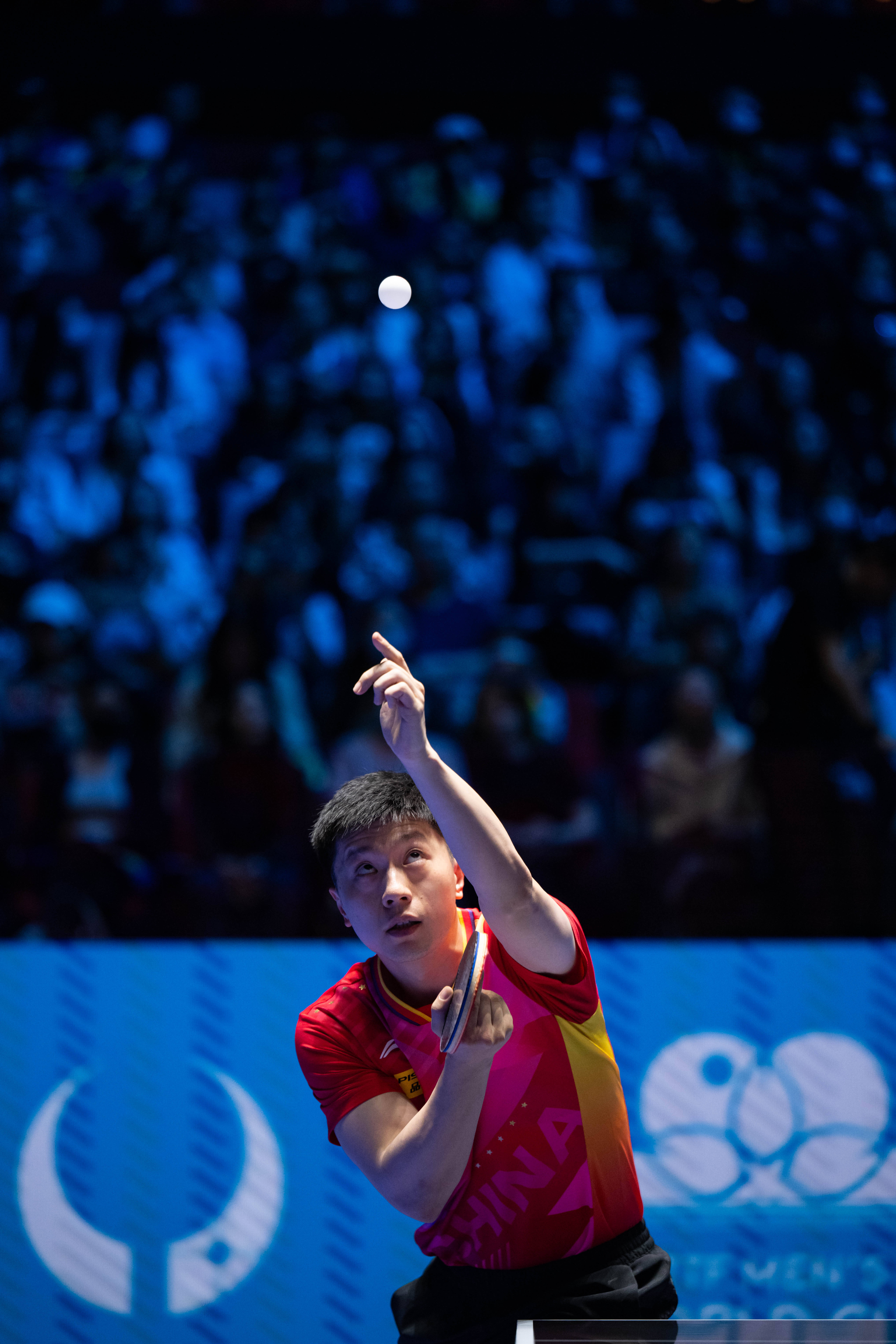 比利时乒乓球队鏖战中国乒乓球队，马龙惊艳世界的简单介绍